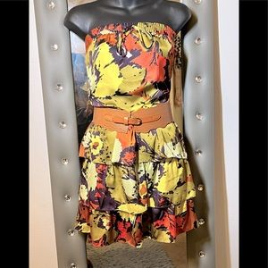 The Limited Outback Red Collection size small dress